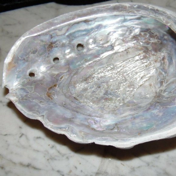 Beautiful Abalone Shell Antique & Vintage lot of 4~Size 8"~8"~6.5"~4 3/4''inches - Picture 15 of 16